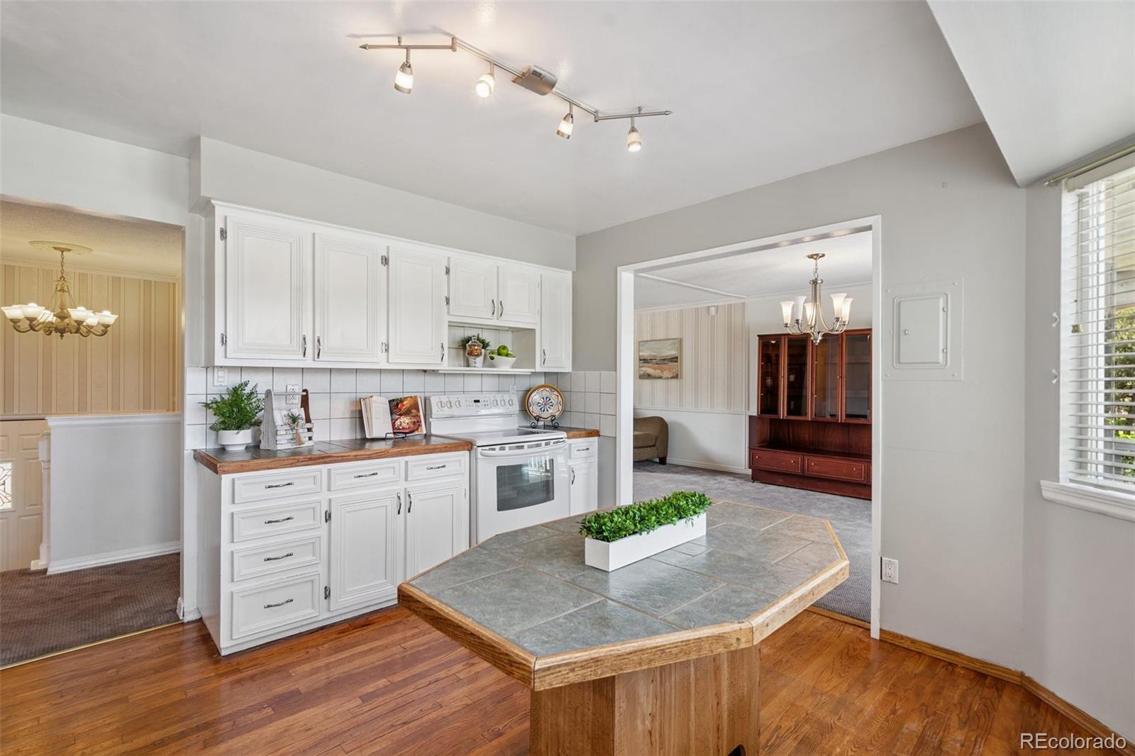 MLS Image #13 for 1244  baron road,colorado springs, Colorado