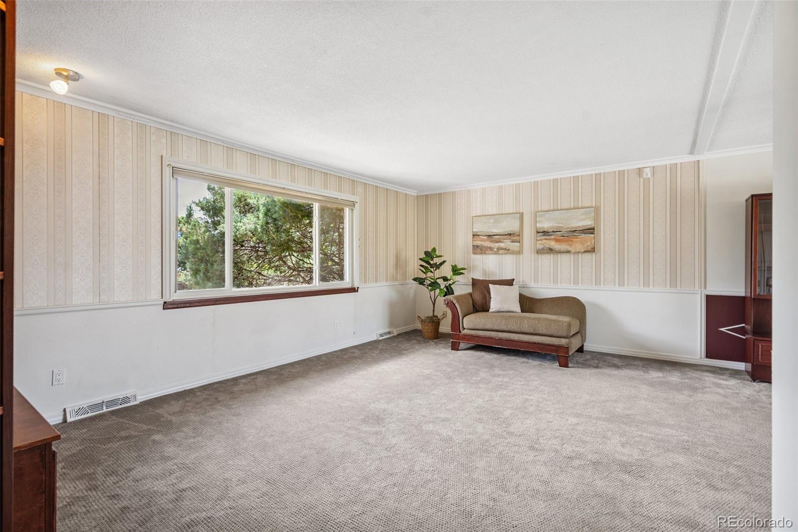 MLS Image #4 for 1244  baron road,colorado springs, Colorado