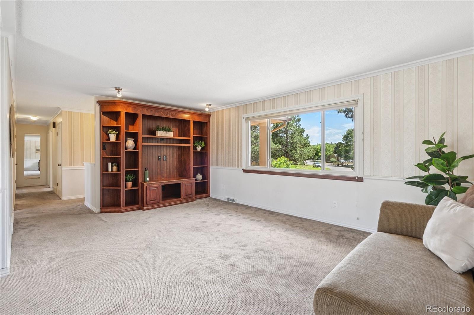 MLS Image #7 for 1244  baron road,colorado springs, Colorado