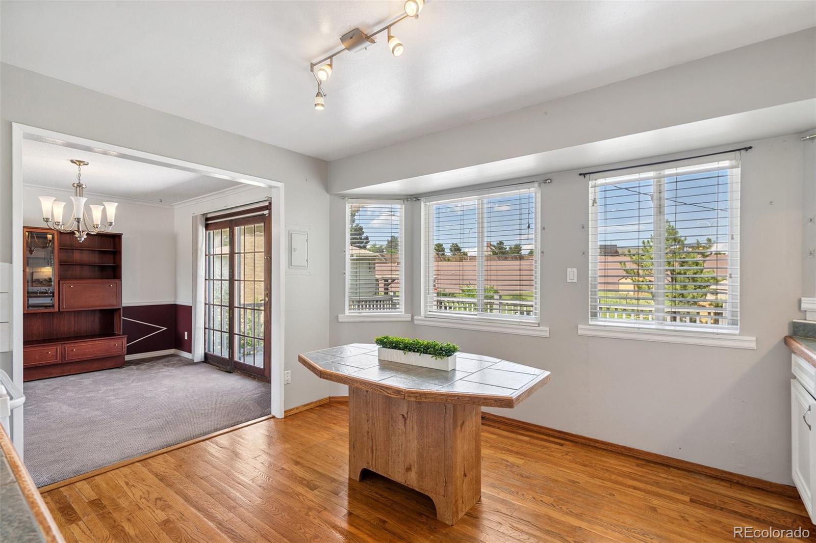MLS Image #9 for 1244  baron road,colorado springs, Colorado