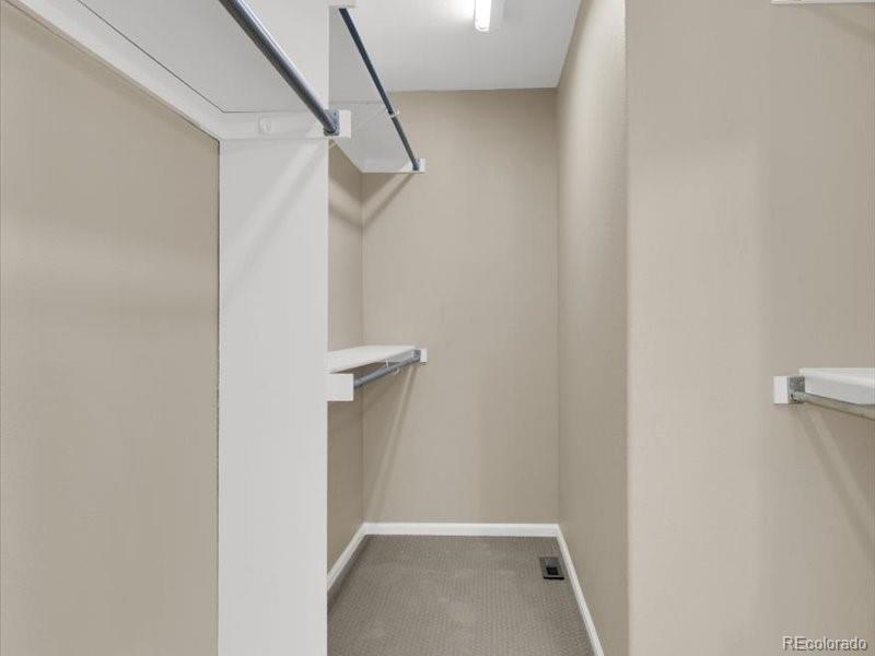 MLS Image #19 for 8906  miners drive,highlands ranch, Colorado