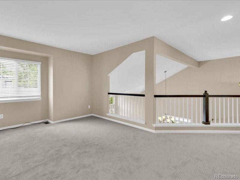 MLS Image #22 for 8906  miners drive,highlands ranch, Colorado