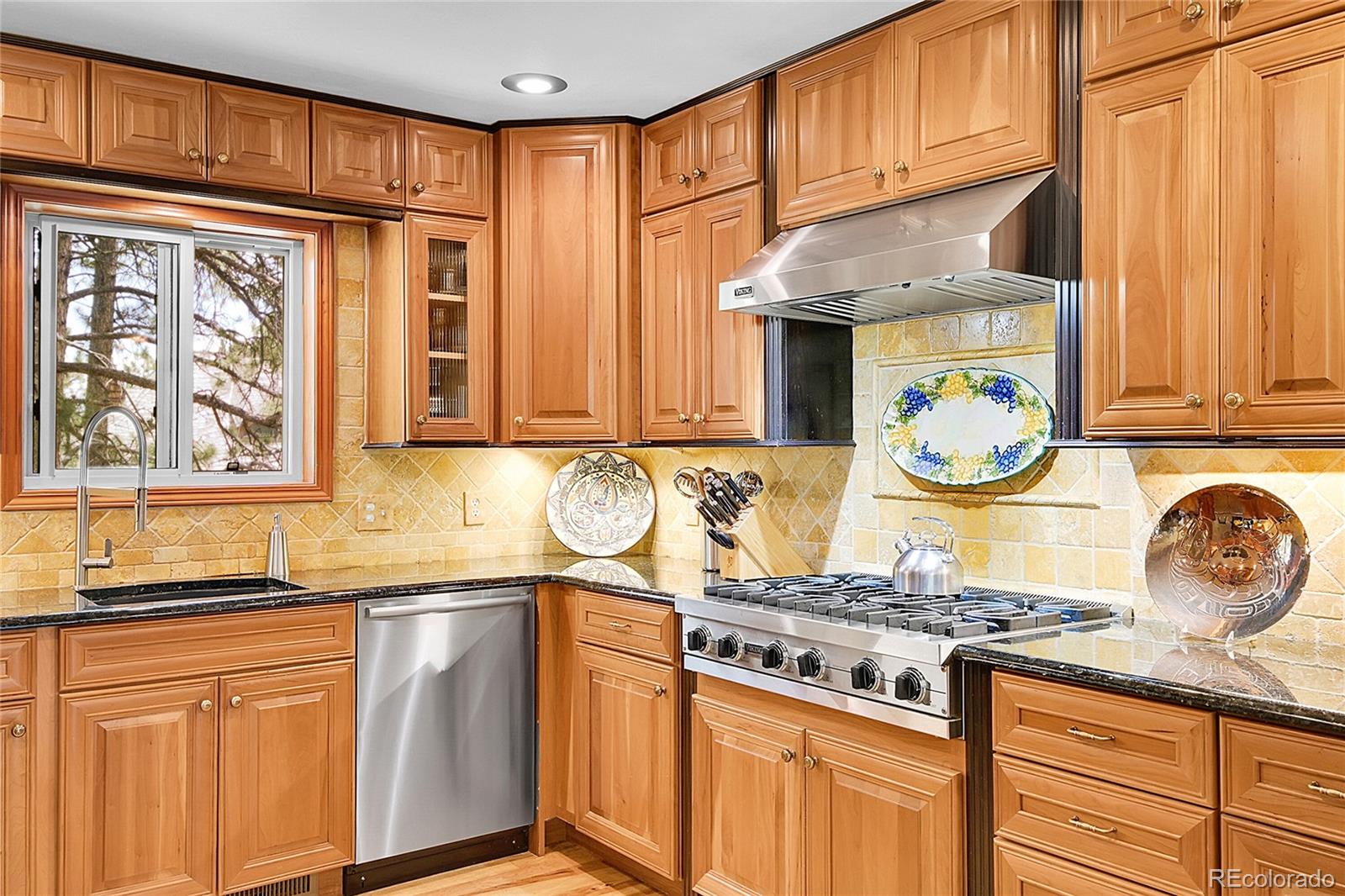 MLS Image #12 for 4011 s skyline drive,evergreen, Colorado