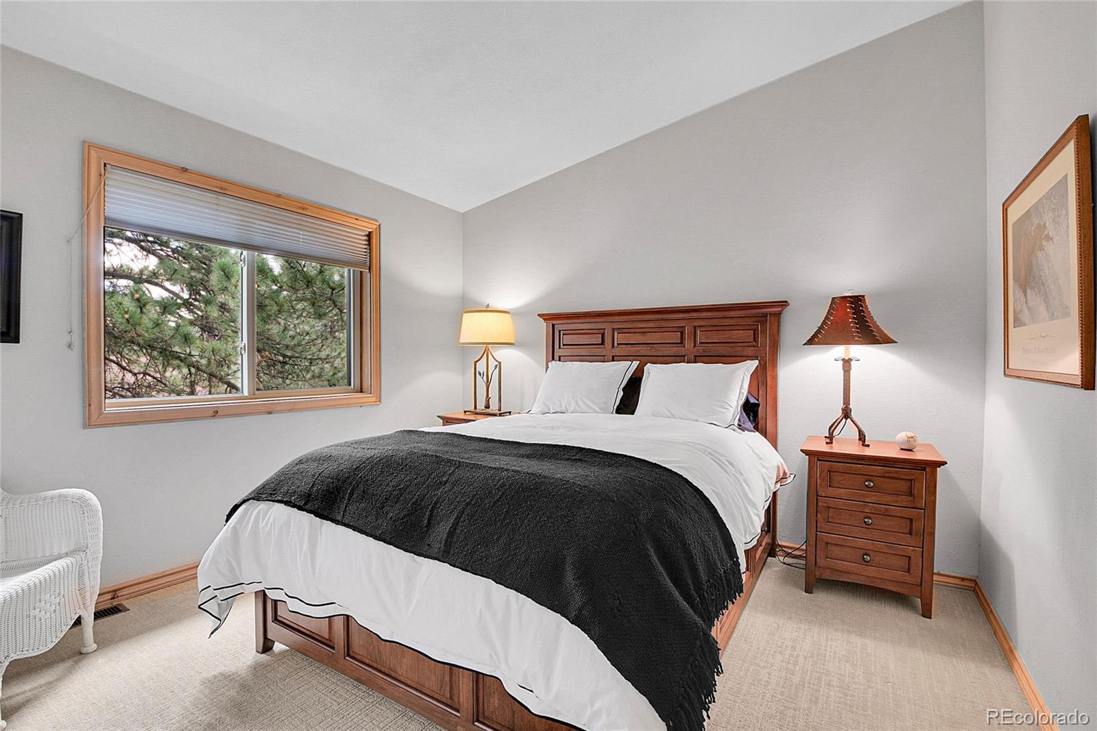 MLS Image #27 for 4011 s skyline drive,evergreen, Colorado