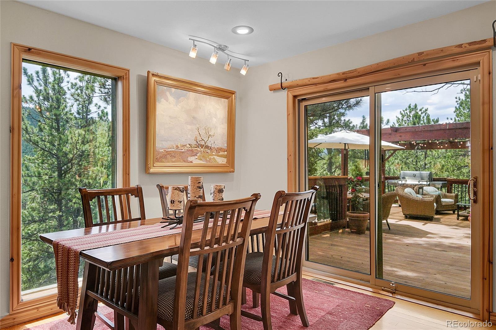 MLS Image #9 for 4011 s skyline drive,evergreen, Colorado