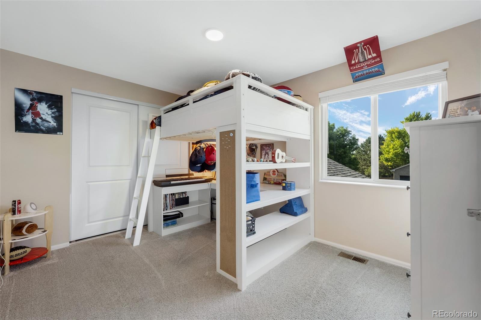 MLS Image #27 for 2066  amber court,erie, Colorado