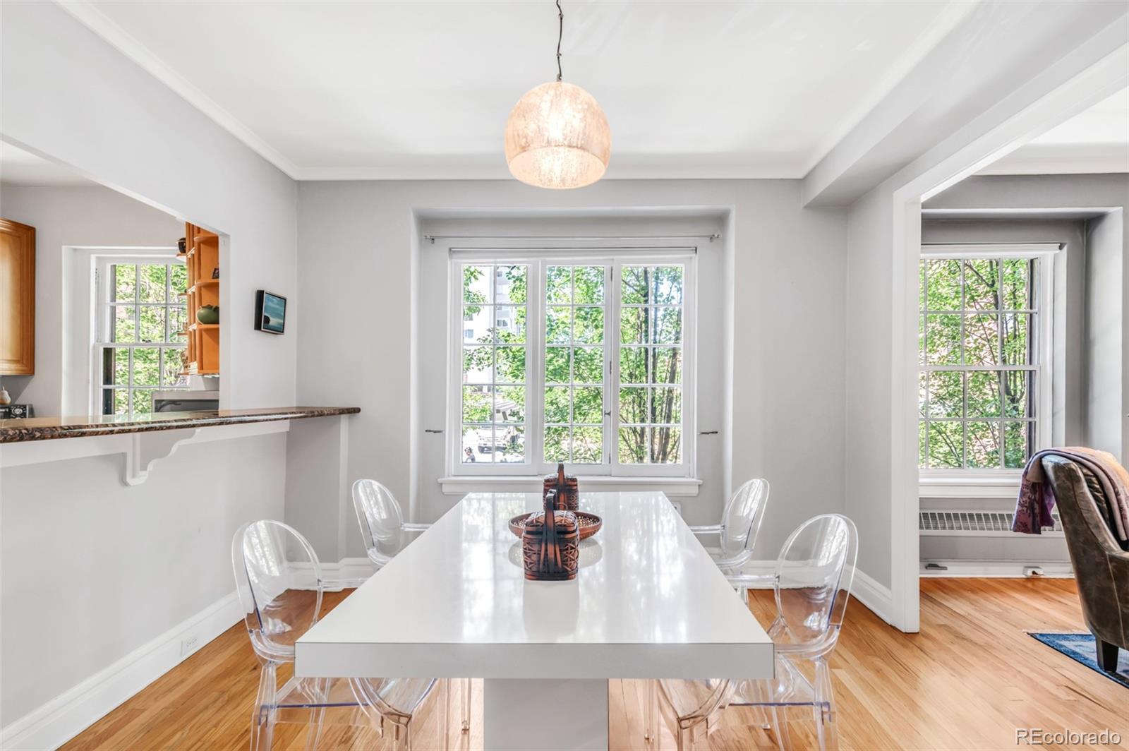 MLS Image #25 for 99 s downing street,denver, Colorado