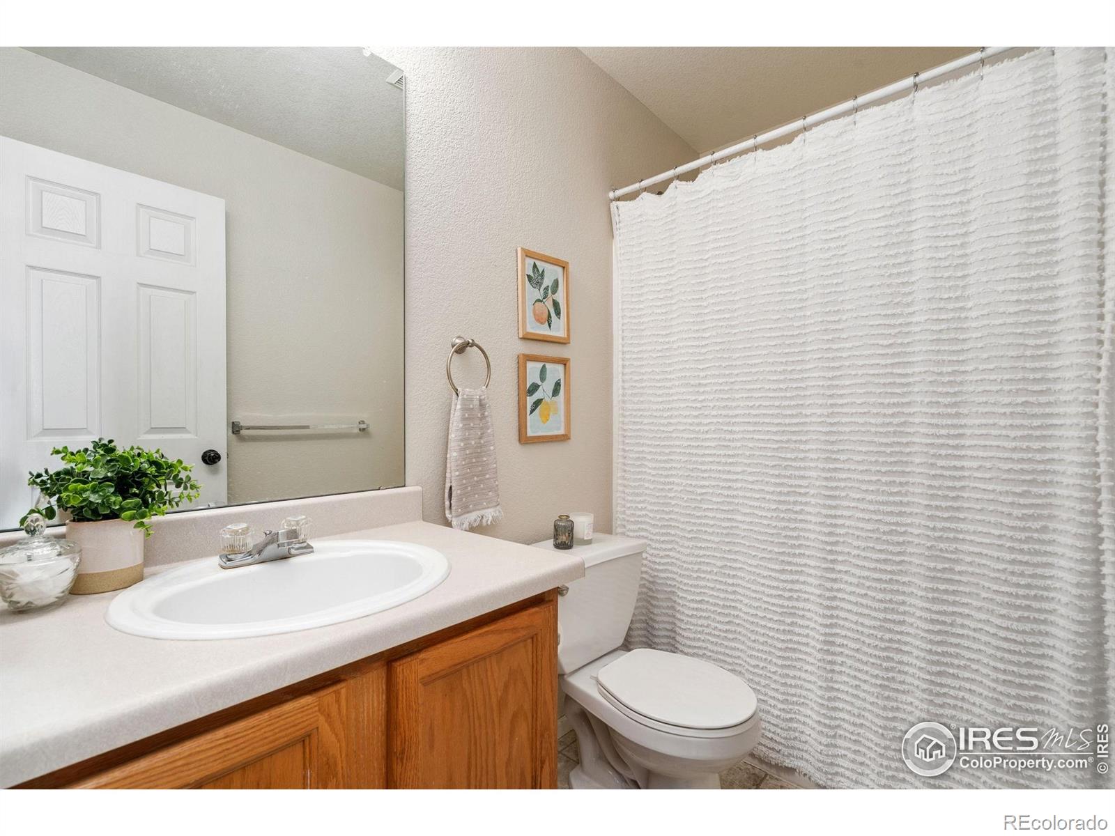 MLS Image #16 for 3814  celtic lane,fort collins, Colorado