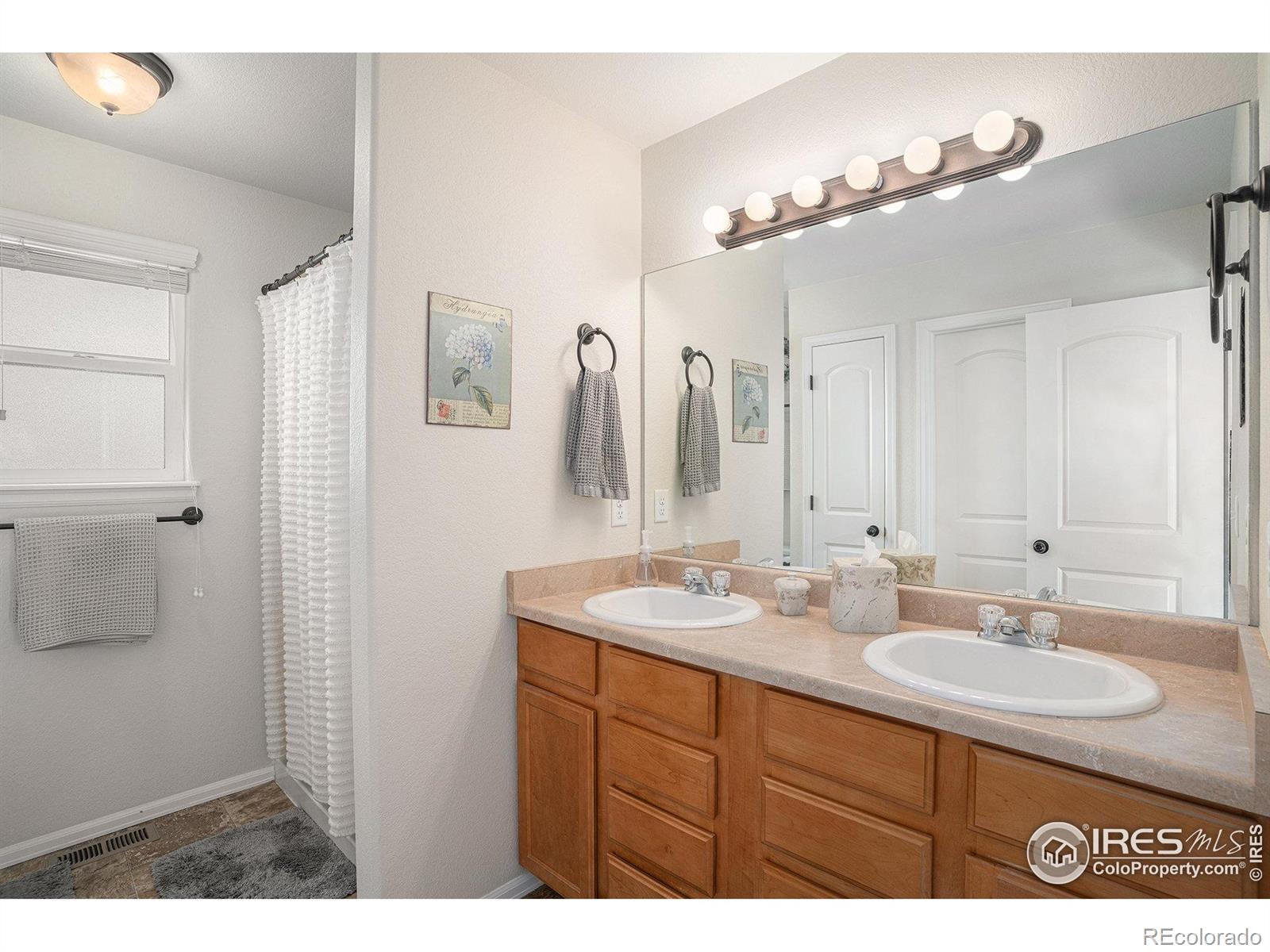 MLS Image #11 for 742  valleybrook drive,windsor, Colorado