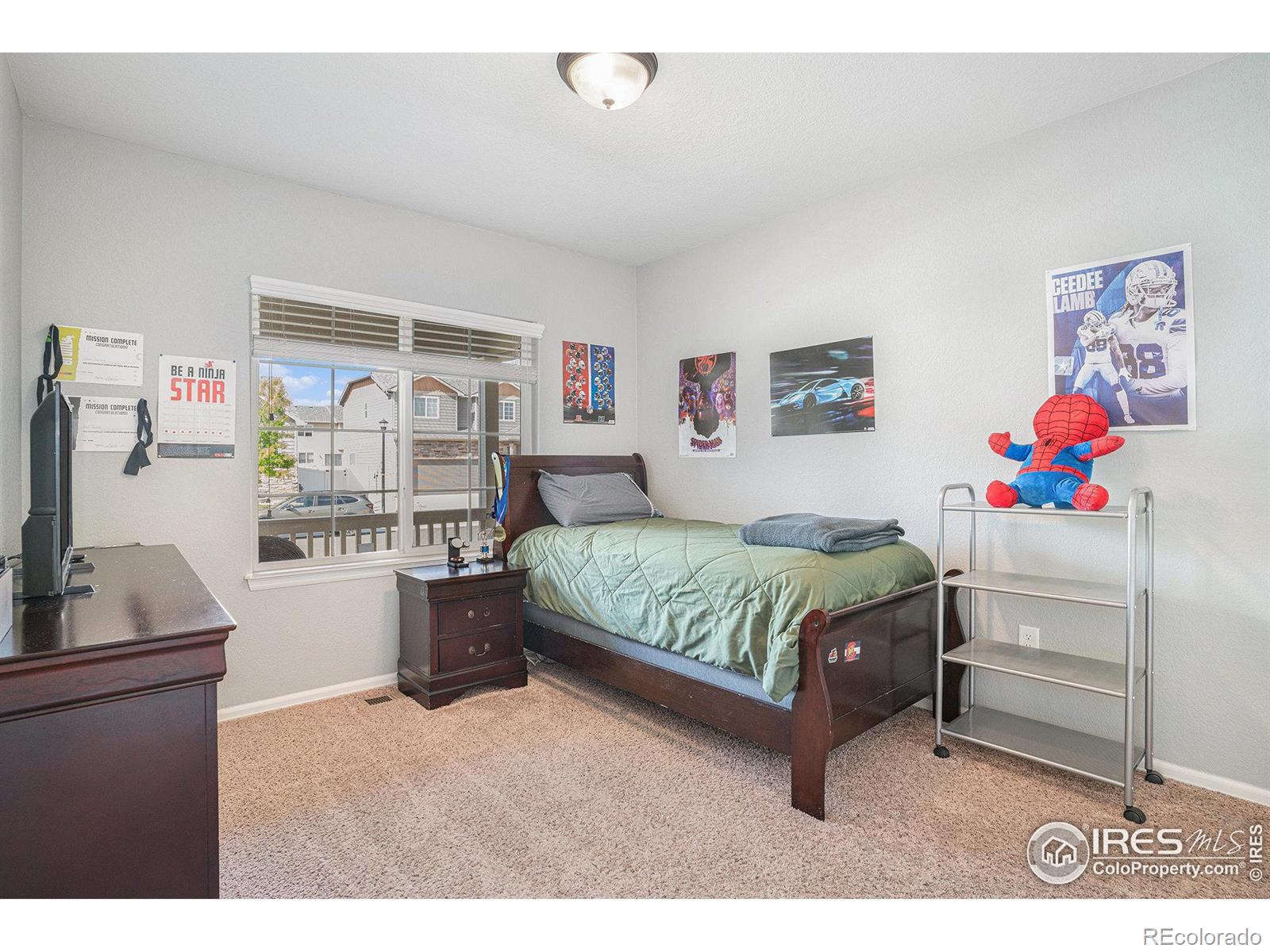 MLS Image #12 for 742  valleybrook drive,windsor, Colorado