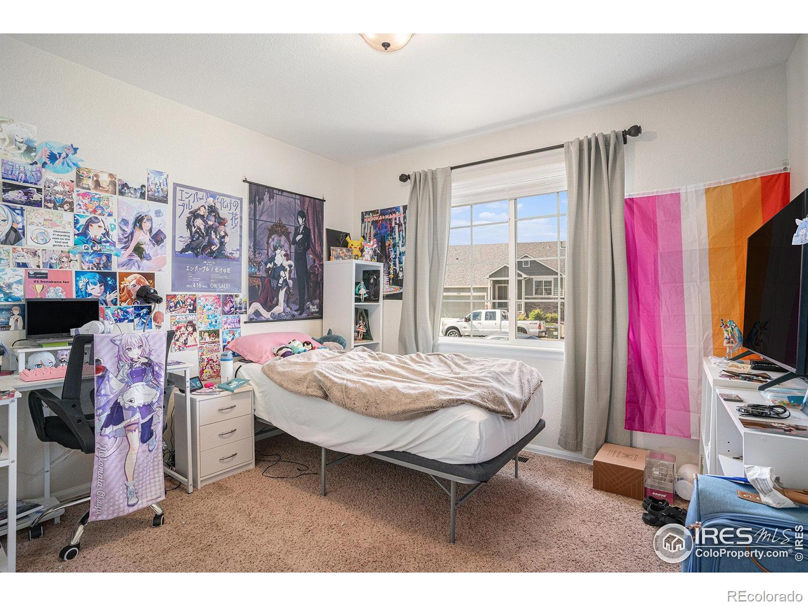 MLS Image #14 for 742  valleybrook drive,windsor, Colorado