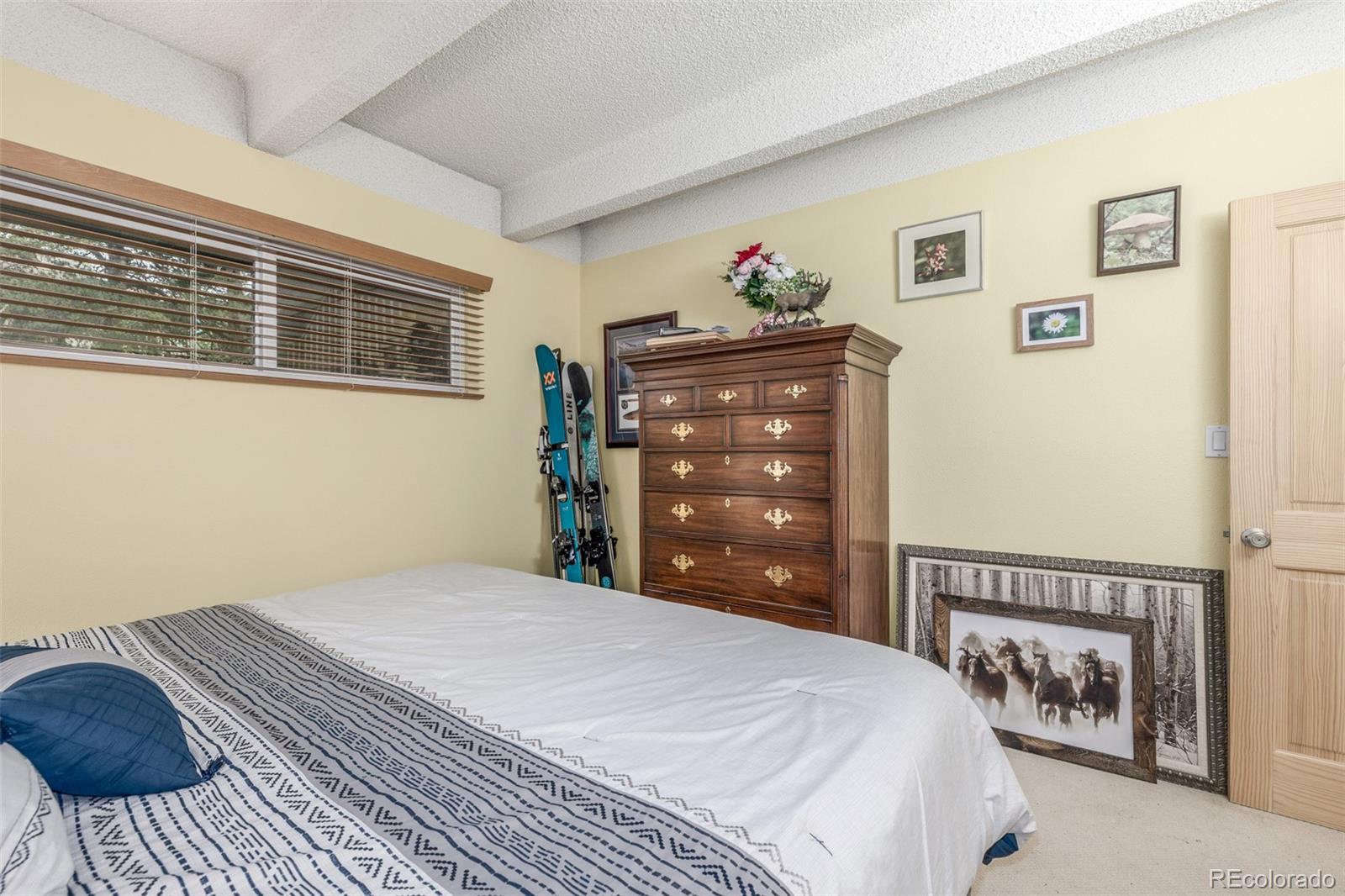 MLS Image #10 for 200  granite street,frisco, Colorado