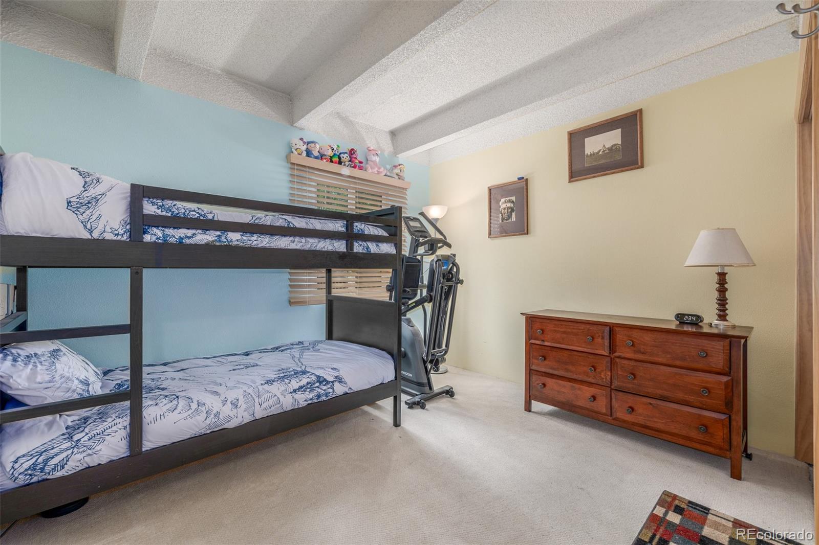 MLS Image #13 for 200  granite street,frisco, Colorado