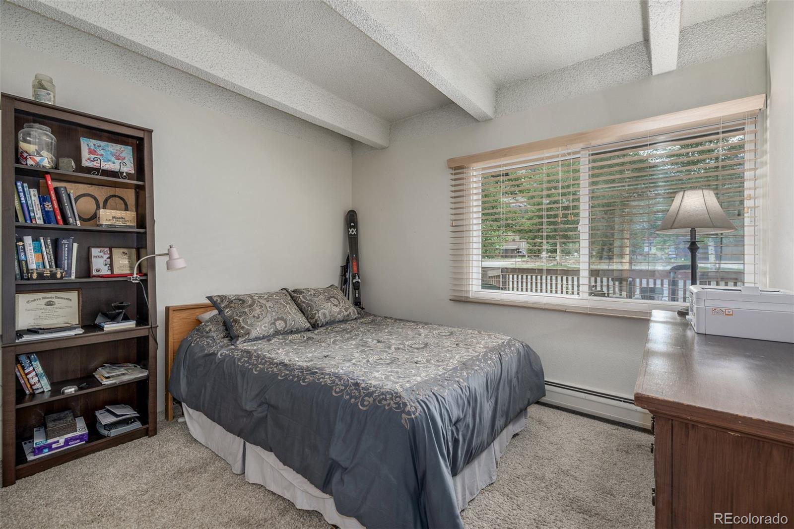 MLS Image #15 for 200  granite street,frisco, Colorado