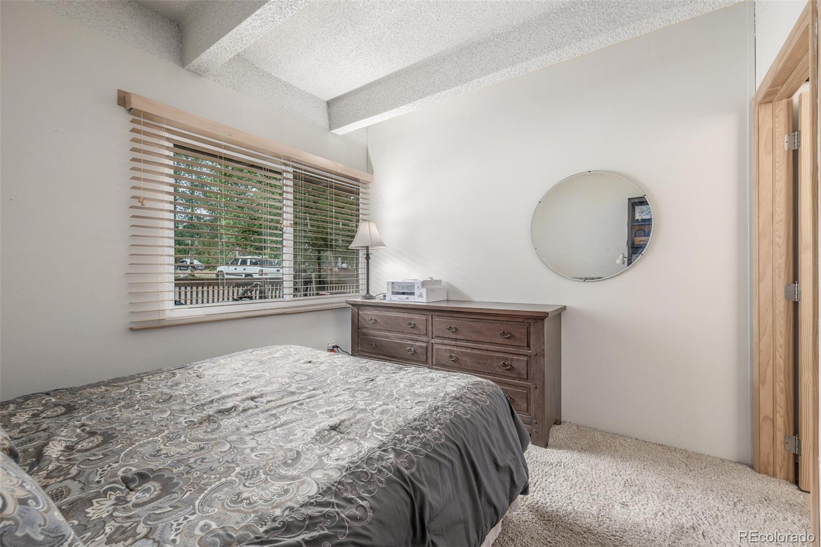 MLS Image #17 for 200  granite street,frisco, Colorado