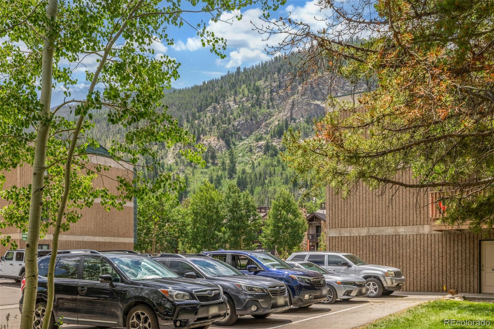 MLS Image #30 for 200  granite street,frisco, Colorado