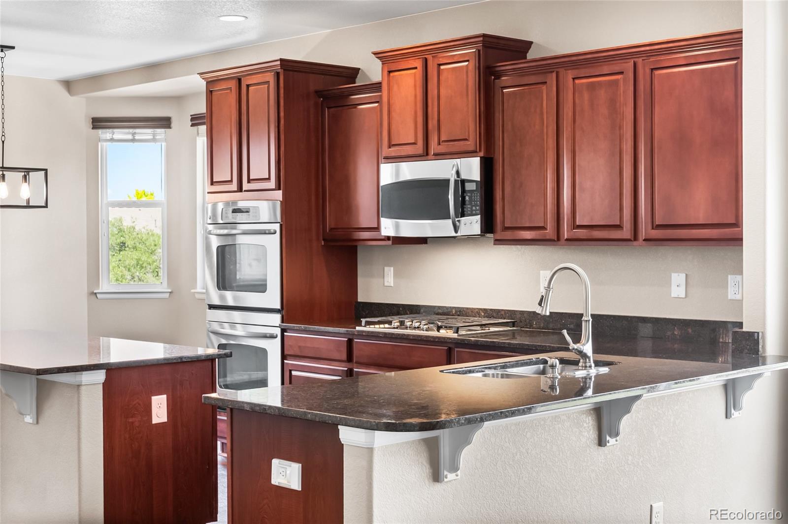 MLS Image #8 for 3520  desert ridge circle,castle rock, Colorado