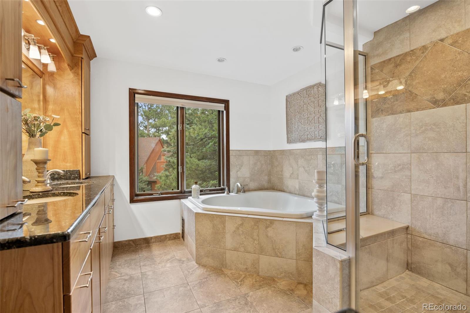 MLS Image #14 for 6207  elbert place,parker, Colorado