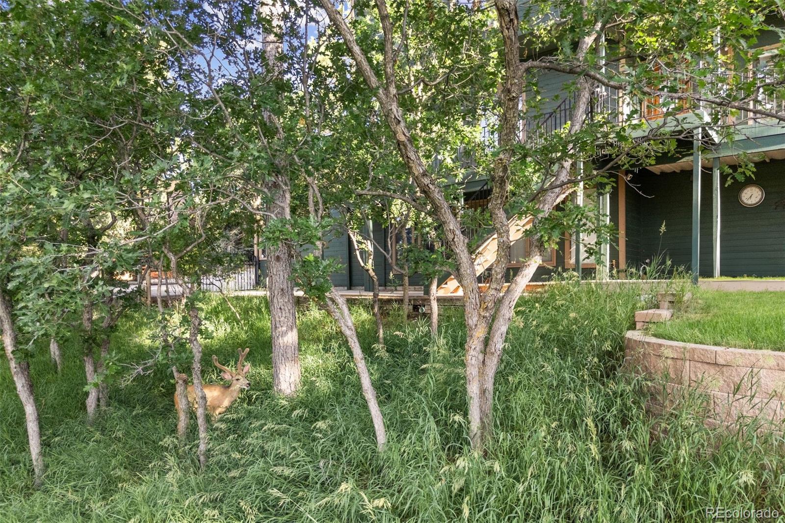 MLS Image #44 for 6207  elbert place,parker, Colorado