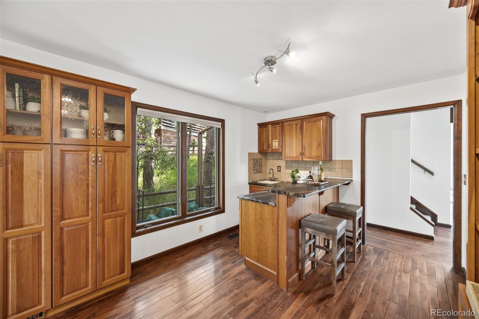 MLS Image #6 for 6207  elbert place,parker, Colorado