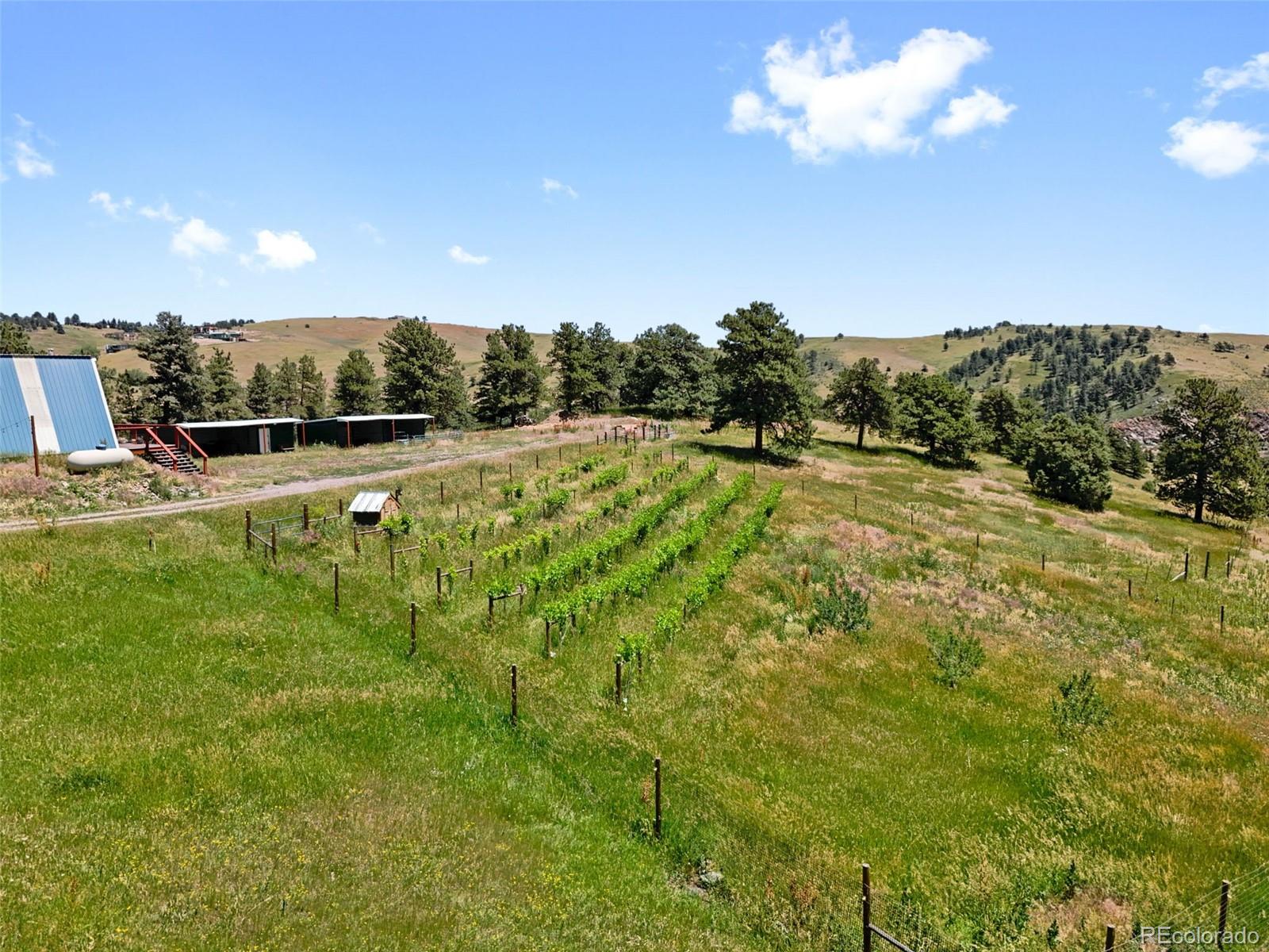 MLS Image #14 for 1044 s grapevine road,golden, Colorado