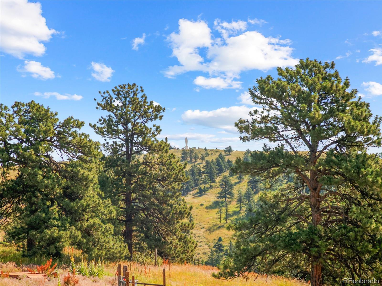 MLS Image #38 for 1044 s grapevine road,golden, Colorado