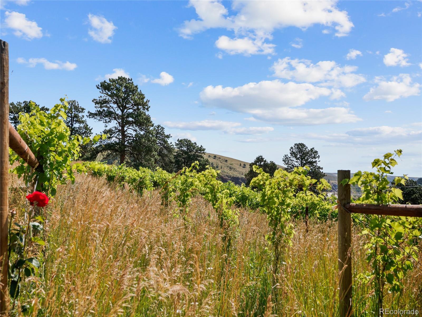 MLS Image #42 for 1044 s grapevine road,golden, Colorado
