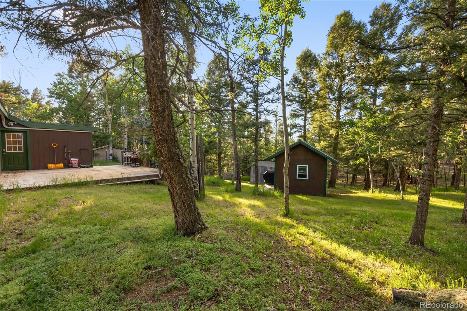 MLS Image #27 for 53  iris road,woodland park, Colorado