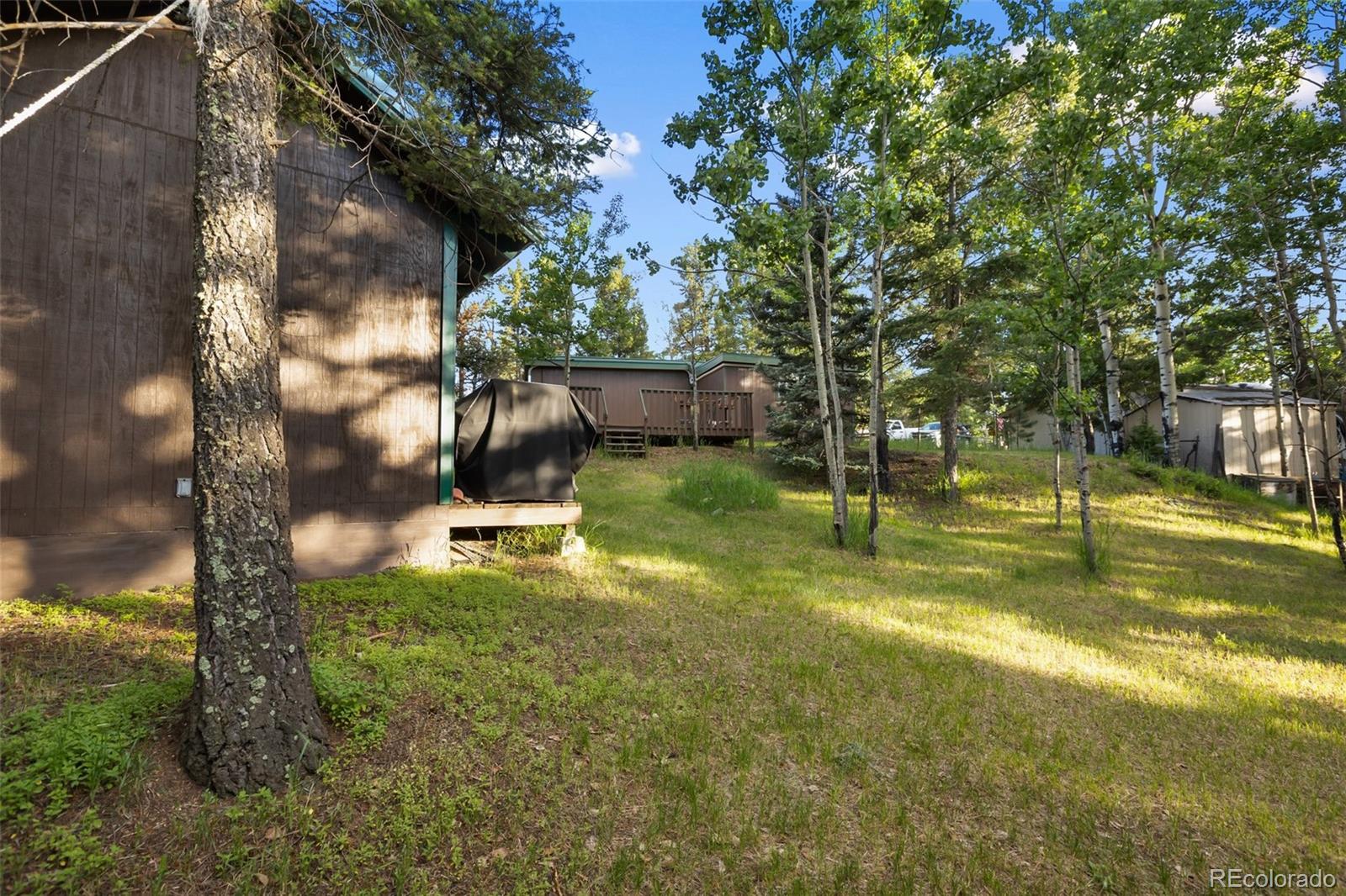 MLS Image #28 for 53  iris road,woodland park, Colorado
