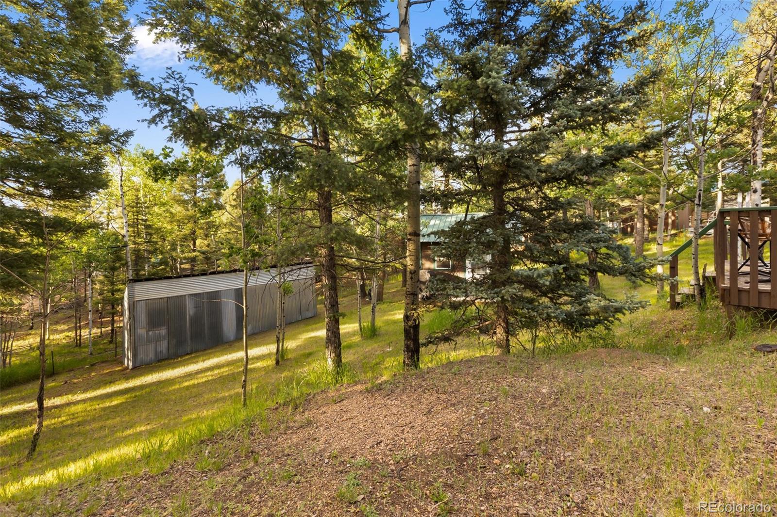 MLS Image #30 for 53  iris road,woodland park, Colorado