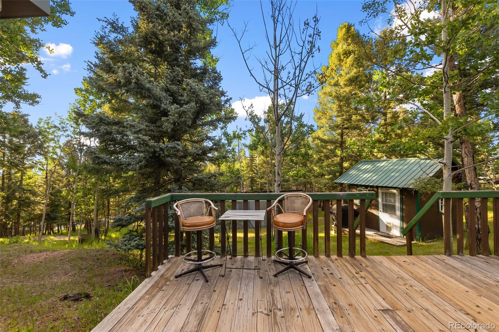 MLS Image #32 for 53  iris road,woodland park, Colorado