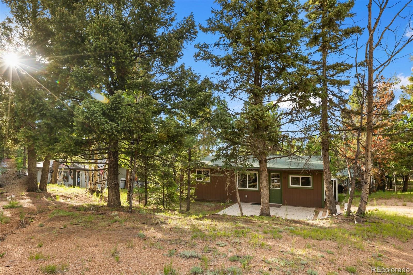 MLS Image #4 for 53  iris road,woodland park, Colorado