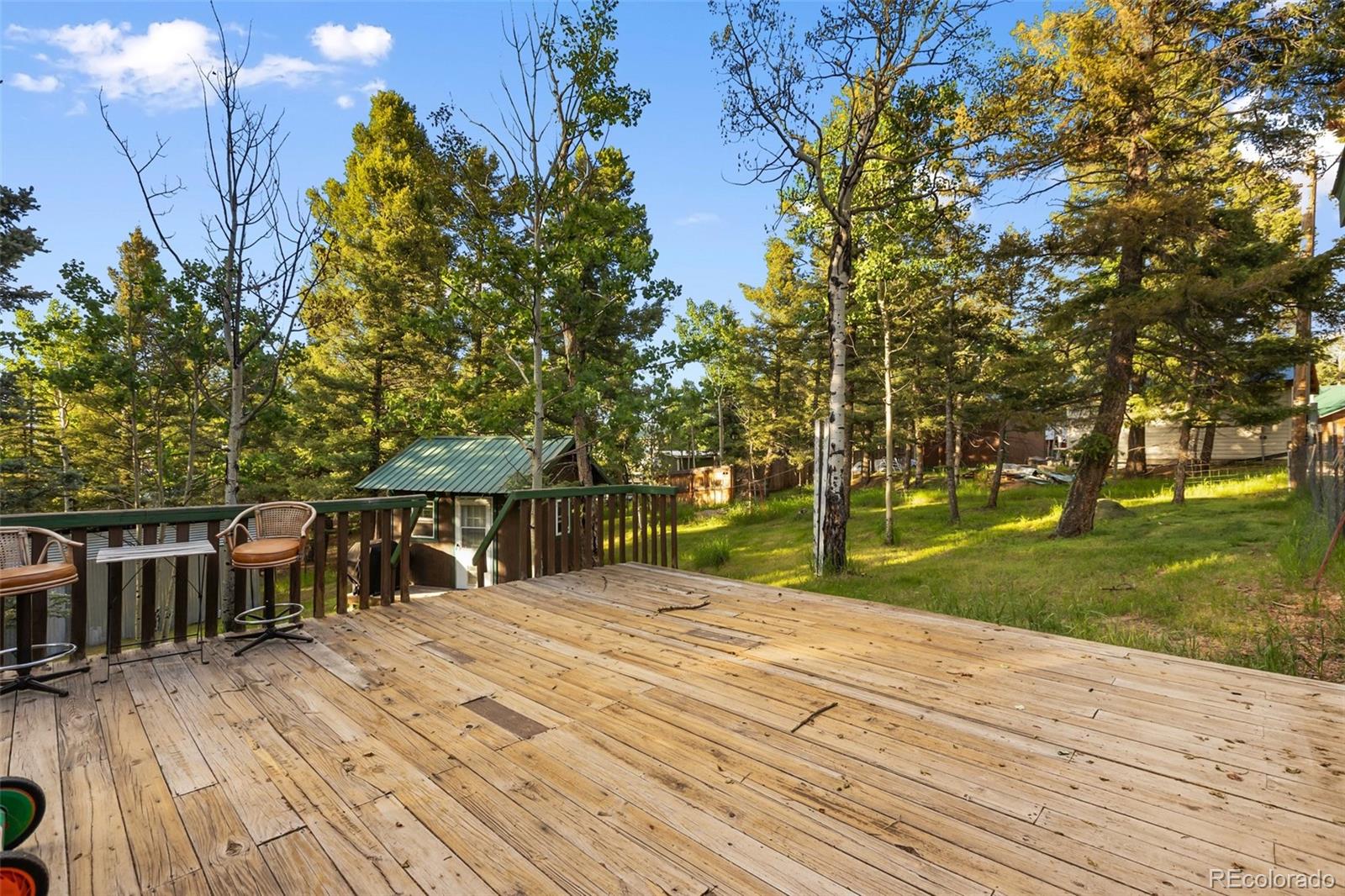 MLS Image #6 for 53  iris road,woodland park, Colorado