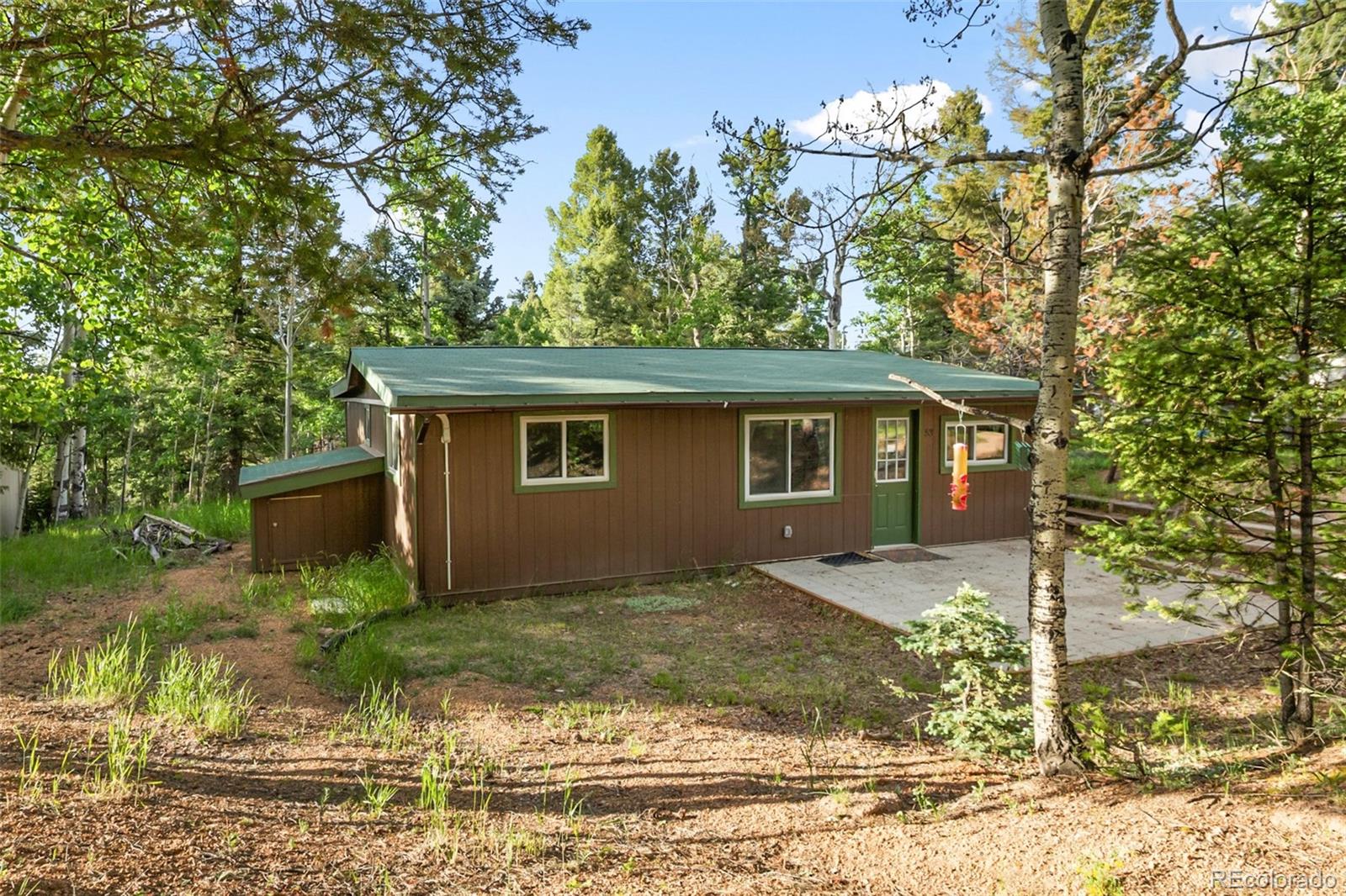 MLS Image #8 for 53  iris road,woodland park, Colorado