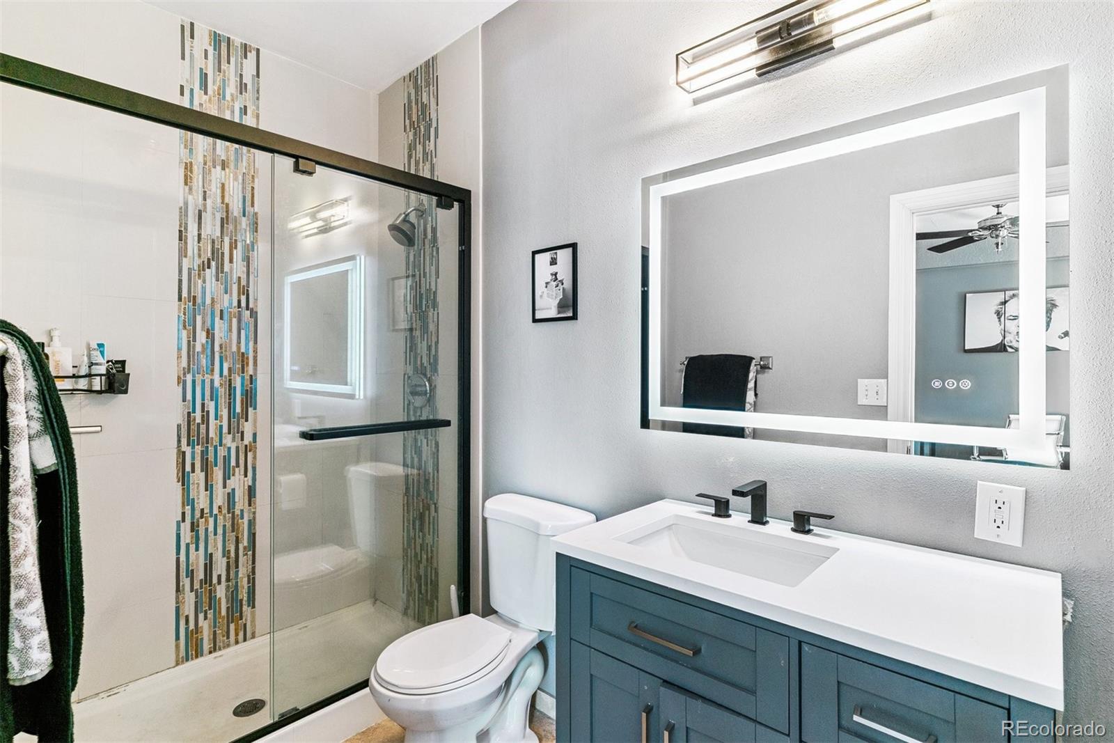 MLS Image #13 for 909 w park avenue,denver, Colorado