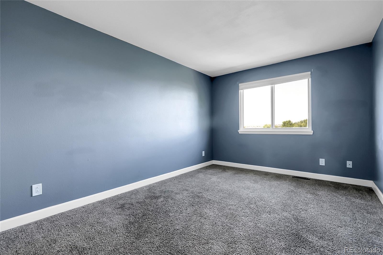 MLS Image #17 for 11565  crow hill drive,parker, Colorado