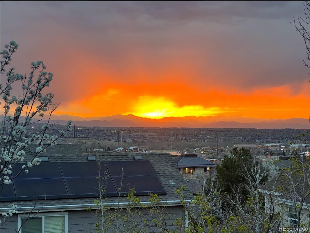 MLS Image #28 for 11565  crow hill drive,parker, Colorado