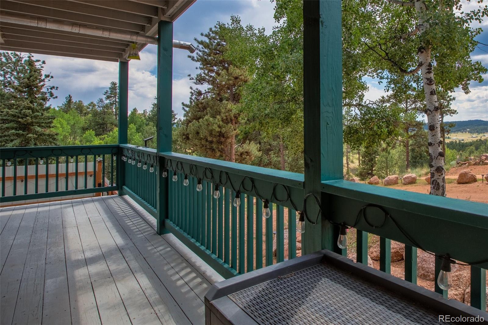 MLS Image #11 for 163  big horn lane,florissant, Colorado