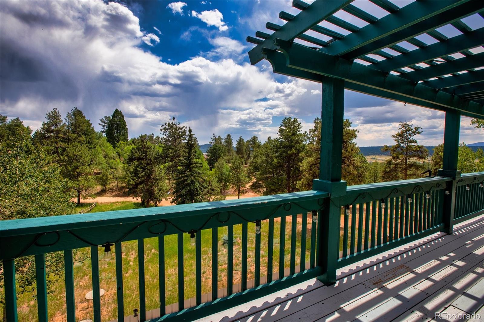 MLS Image #12 for 163  big horn lane,florissant, Colorado