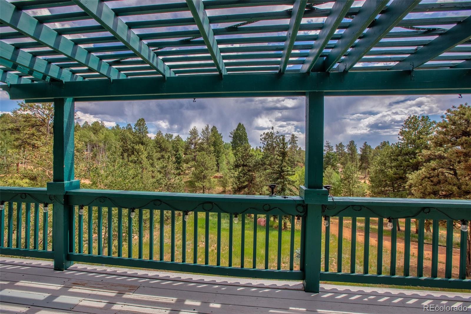 MLS Image #13 for 163  big horn lane,florissant, Colorado