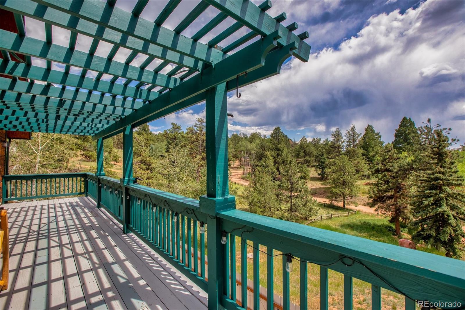 MLS Image #14 for 163  big horn lane,florissant, Colorado
