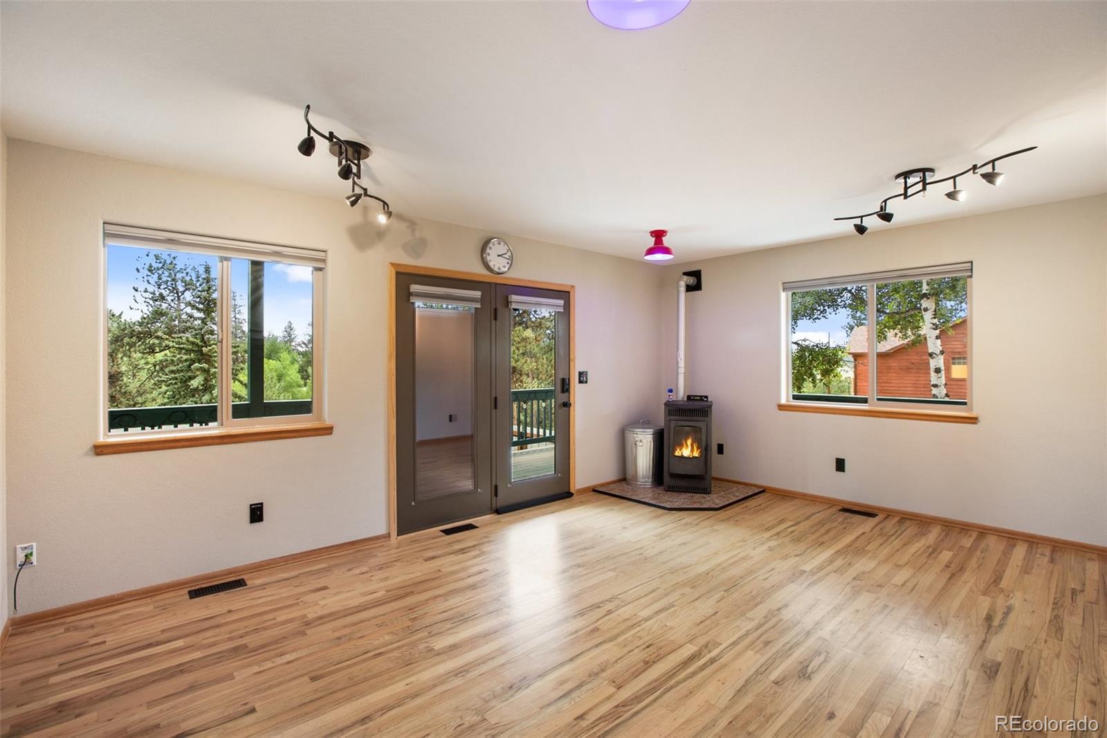 MLS Image #15 for 163  big horn lane,florissant, Colorado