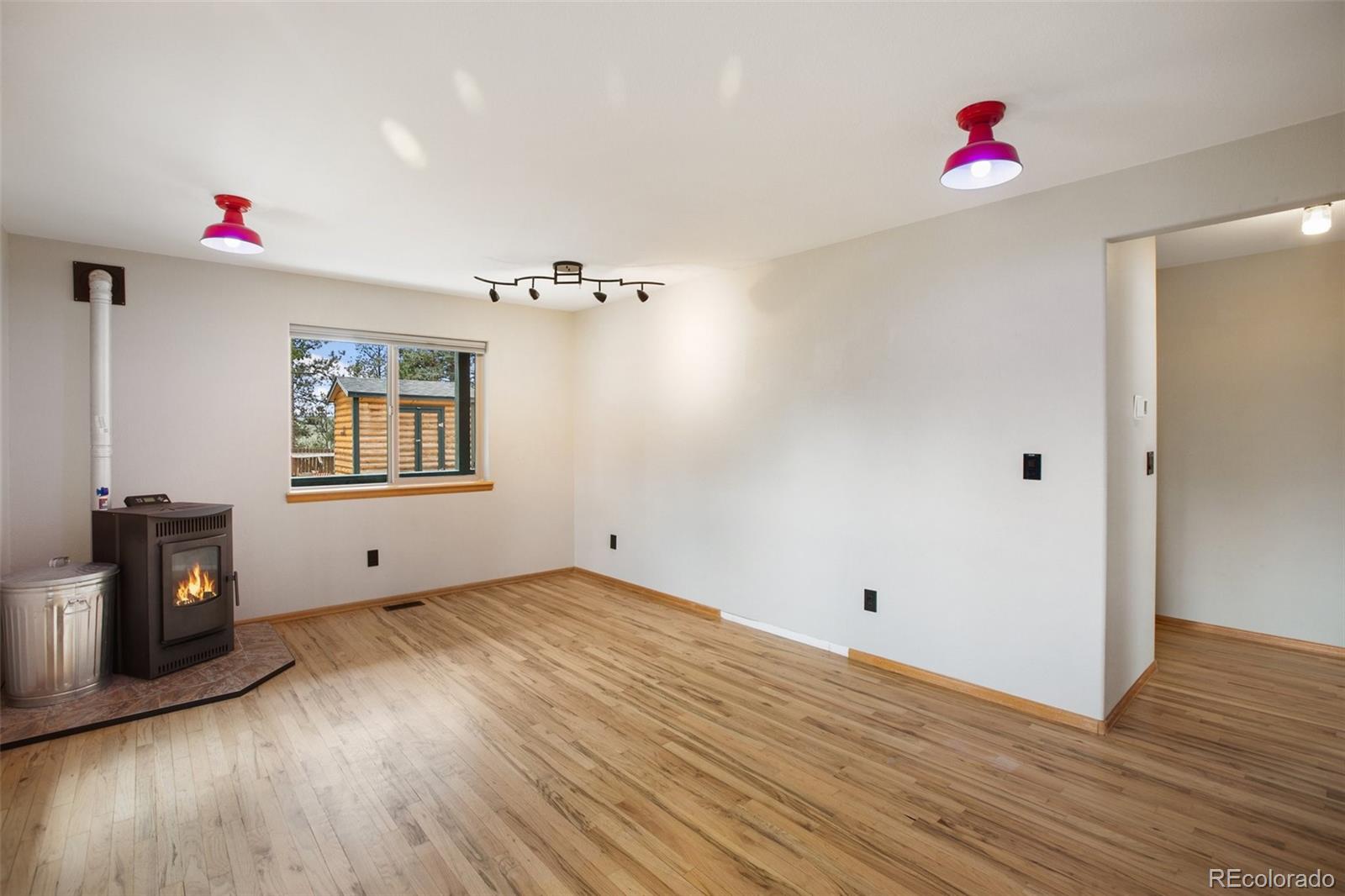 MLS Image #16 for 163  big horn lane,florissant, Colorado