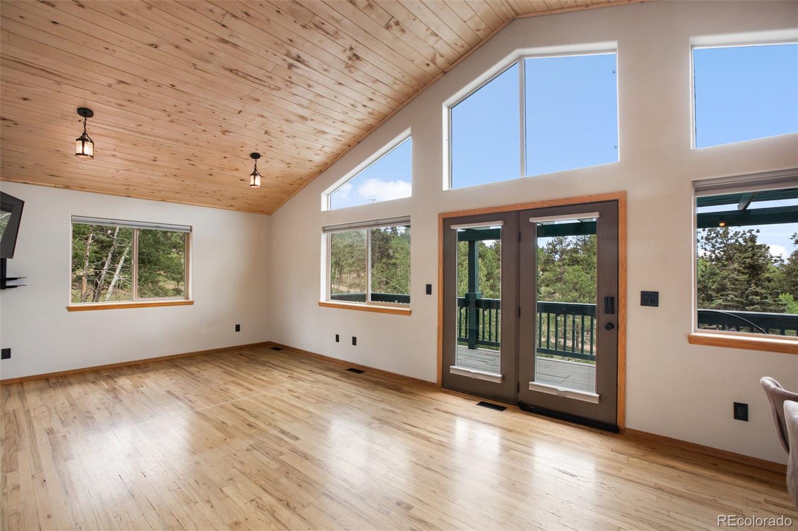 MLS Image #2 for 163  big horn lane,florissant, Colorado