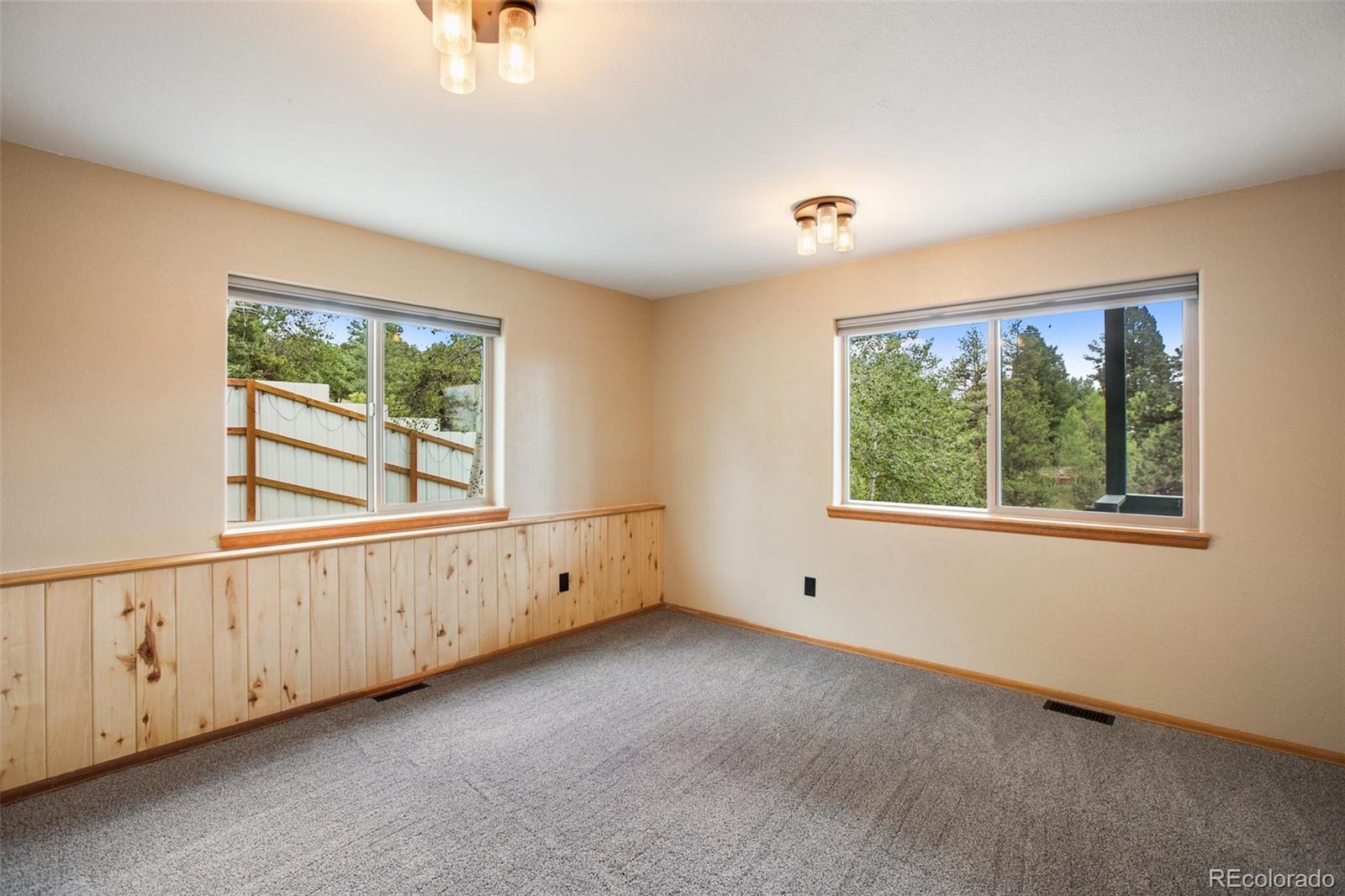 MLS Image #20 for 163  big horn lane,florissant, Colorado
