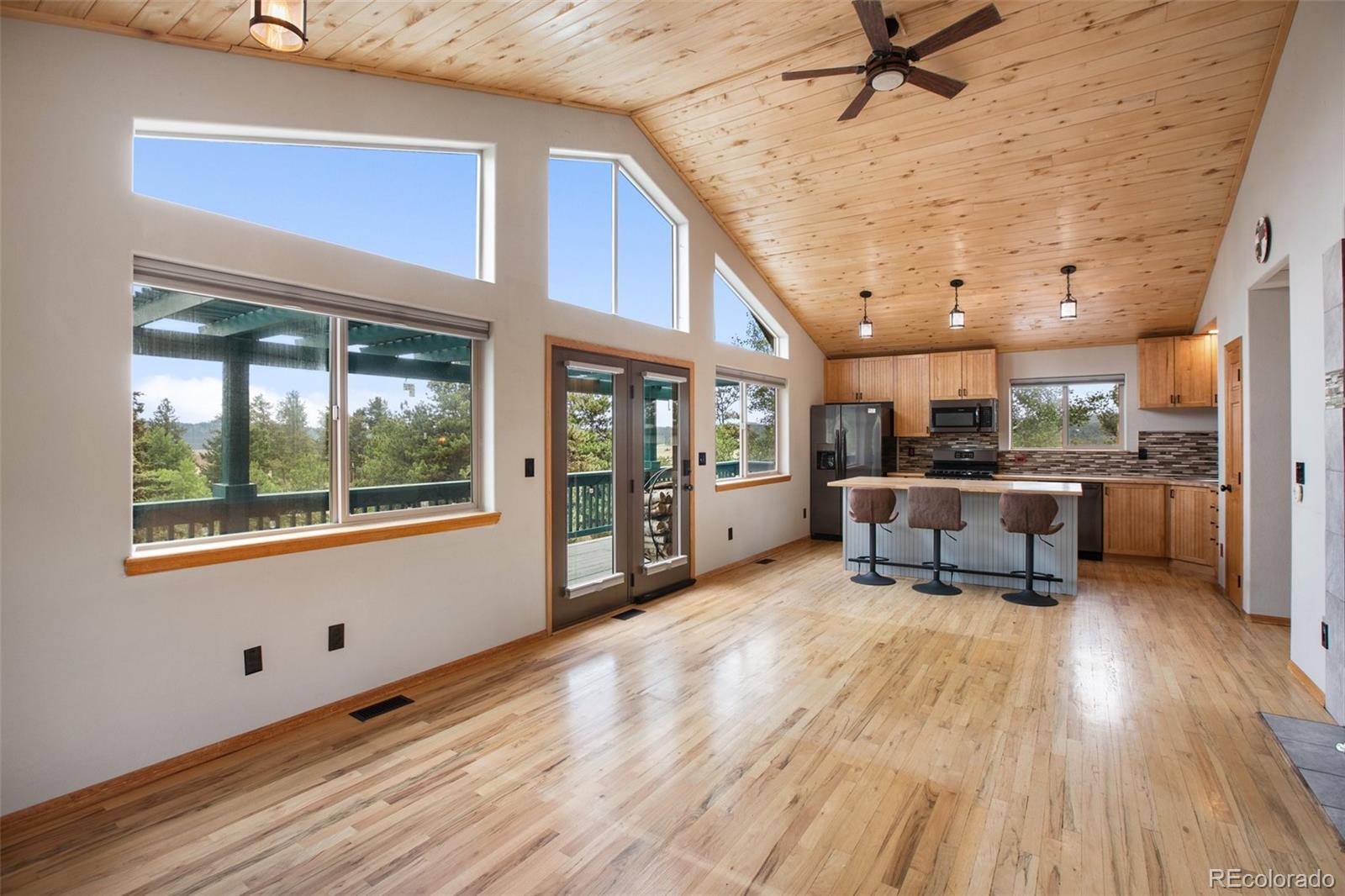 MLS Image #3 for 163  big horn lane,florissant, Colorado
