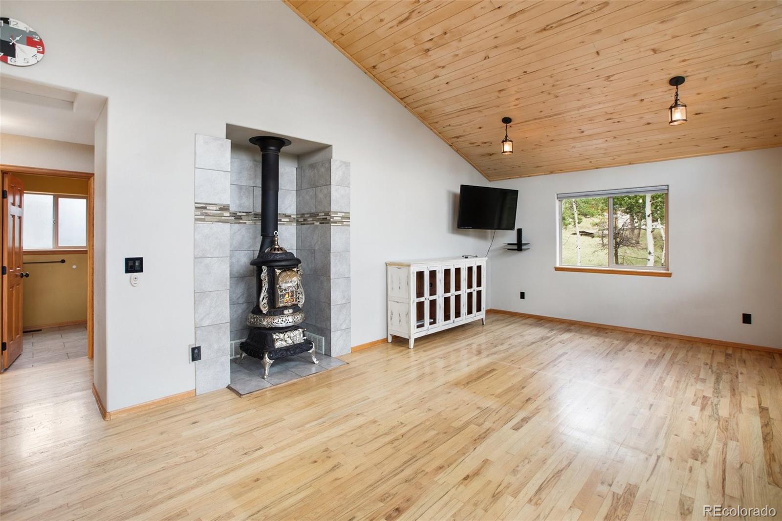MLS Image #4 for 163  big horn lane,florissant, Colorado