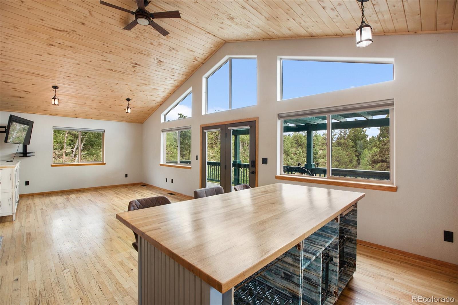 MLS Image #6 for 163  big horn lane,florissant, Colorado