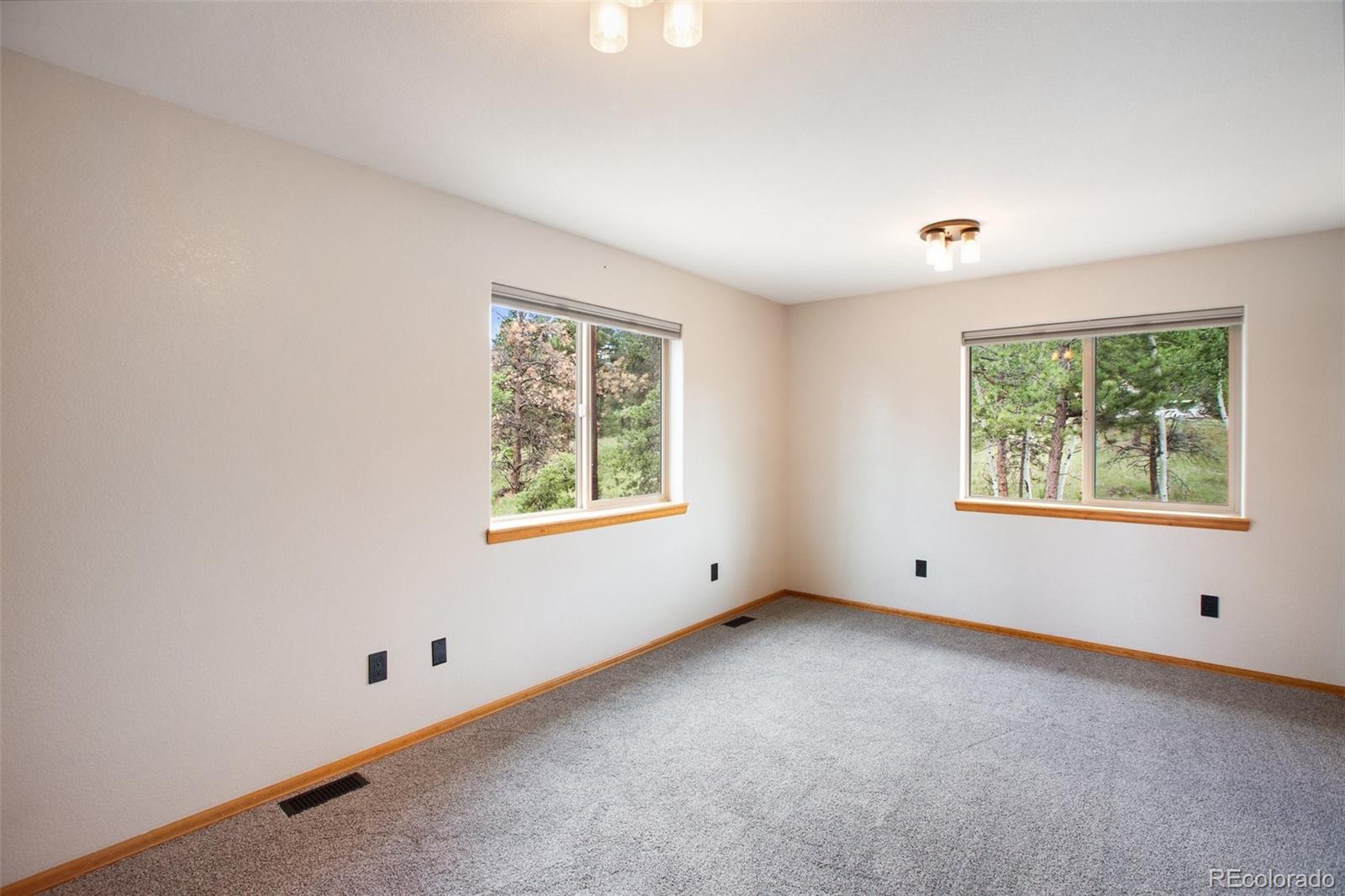 MLS Image #9 for 163  big horn lane,florissant, Colorado
