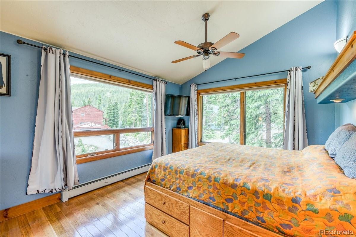 MLS Image #11 for 0453  cr 672 ,breckenridge, Colorado